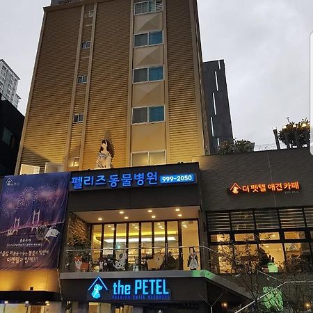 The Petel Premium Suite Busan Buitenkant foto