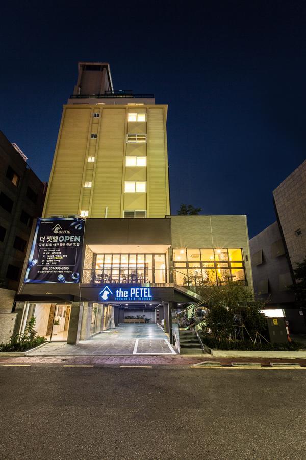 The Petel Premium Suite Busan Buitenkant foto