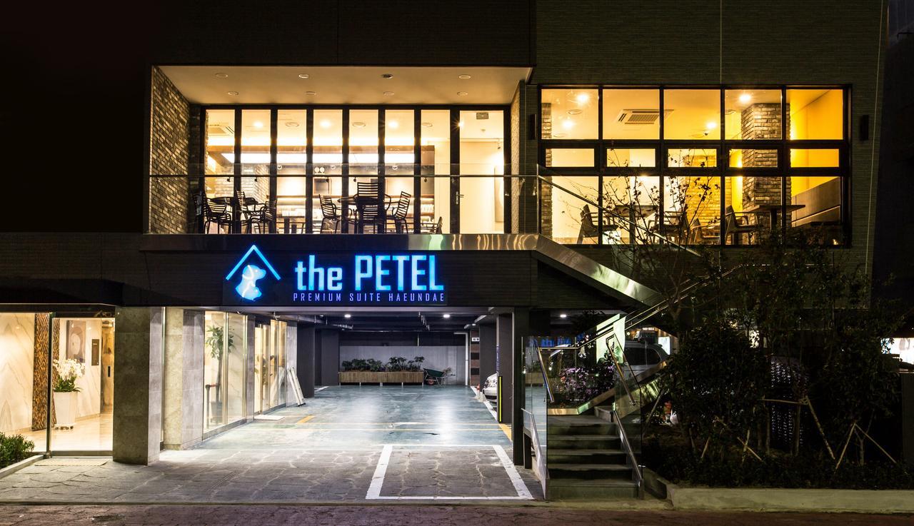 The Petel Premium Suite Busan Buitenkant foto