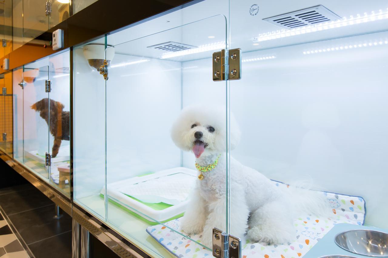 The Petel Premium Suite Busan Buitenkant foto